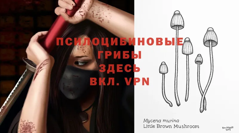 наркота  Еманжелинск  Галлюциногенные грибы MAGIC MUSHROOMS 